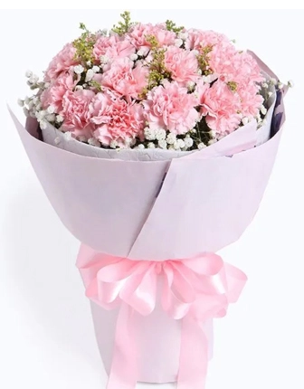 19-steams-pink-carnation