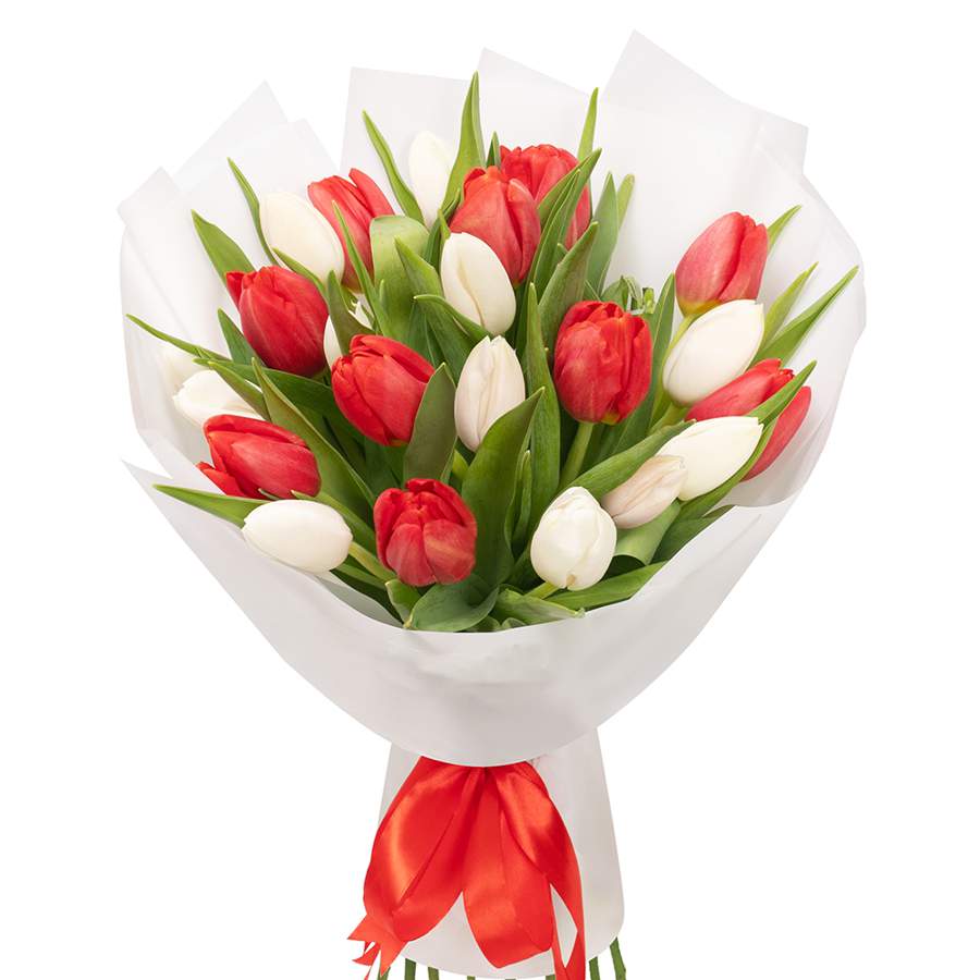 Bouquet, 21 Pink and White Tulips - Flores para desear una pronta recuperación