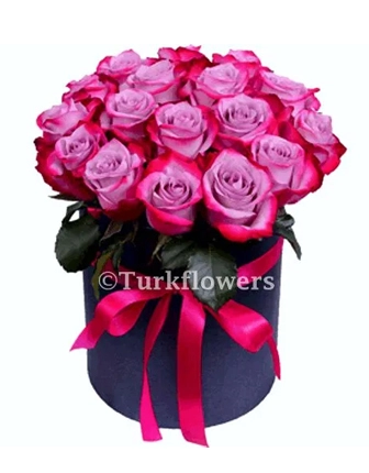 21-purple-roses-in-box