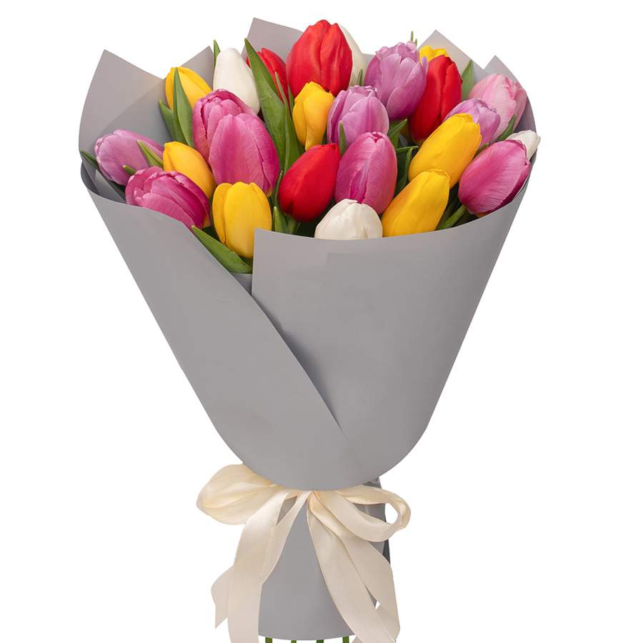Bouquet, 25 multi-colored tulips - tulipanes - Ankara