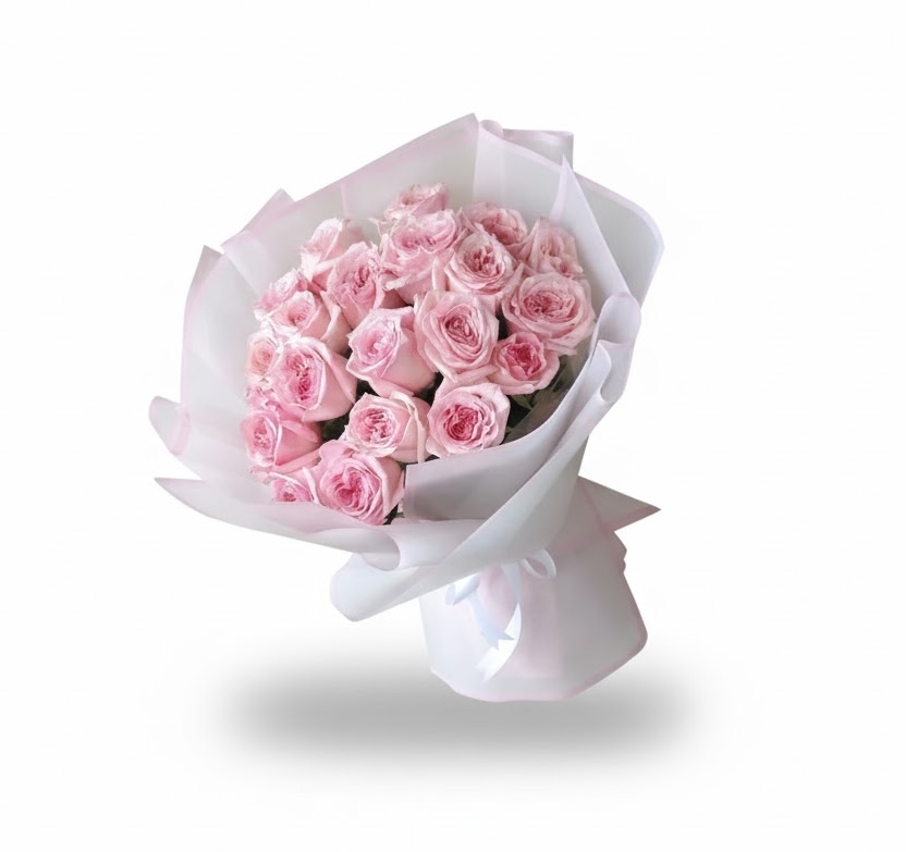 25 Pink Ohara Roses - istanbul