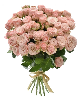 25-pink-spray-roses