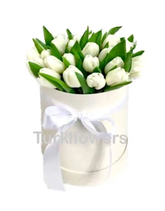 21-white-tulips-in-box