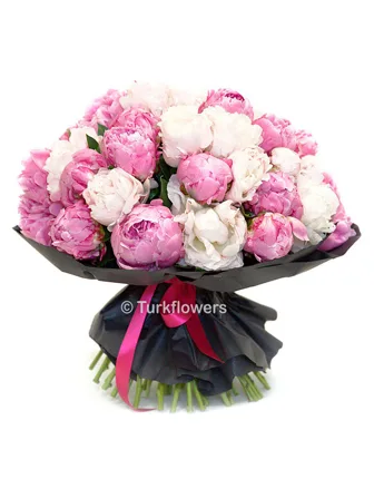 35 Pink and white Peony - Flower delivery in Turkey
