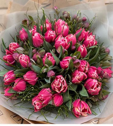 35 Pink Tulips - Día de San Valentín