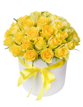 35-yellow-roses