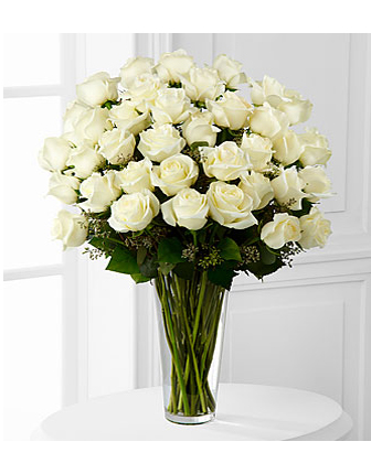 36-long-stem-white-roses