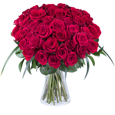 41 Red Roses - Día de San Valentín
