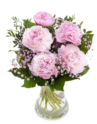 5-pink-peony