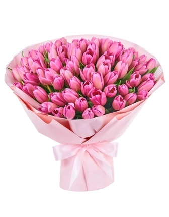 51 tulipani rosa - Tulips