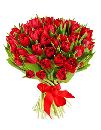 51-red-tulips
