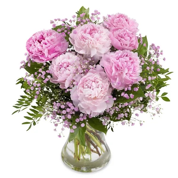 8 Pink Peonies in Vase - istanbul