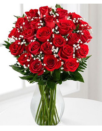 red-18-long-stem-roses