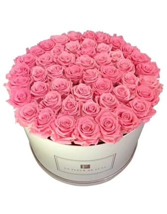 42-46-pink-long-lasting-roses