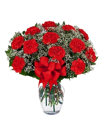 12-red-carnations