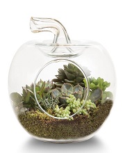 apple-garden-teraryum