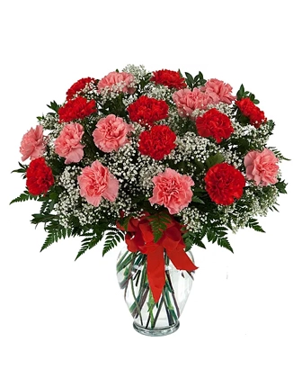 beautiful-carnations