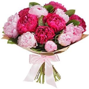 Dark pink and light pink peony - Birthday Flowers - Burdur
