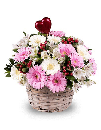 pink-and-white-mini-gerberas