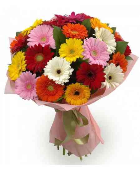 21 Gerbera Bouquet - Eid Flowers & Gifts - Bilecik