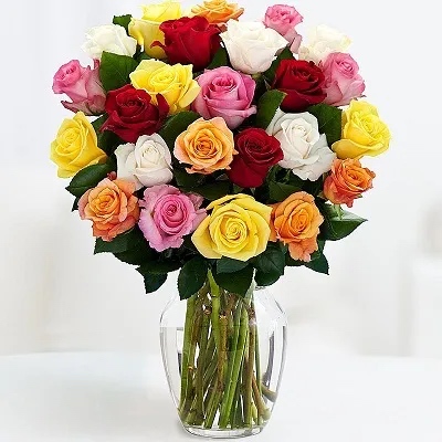 25 Red Roses in Vase - Bilecik