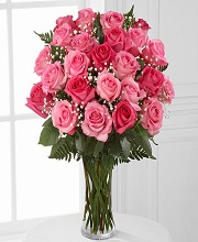 24-pink-roses