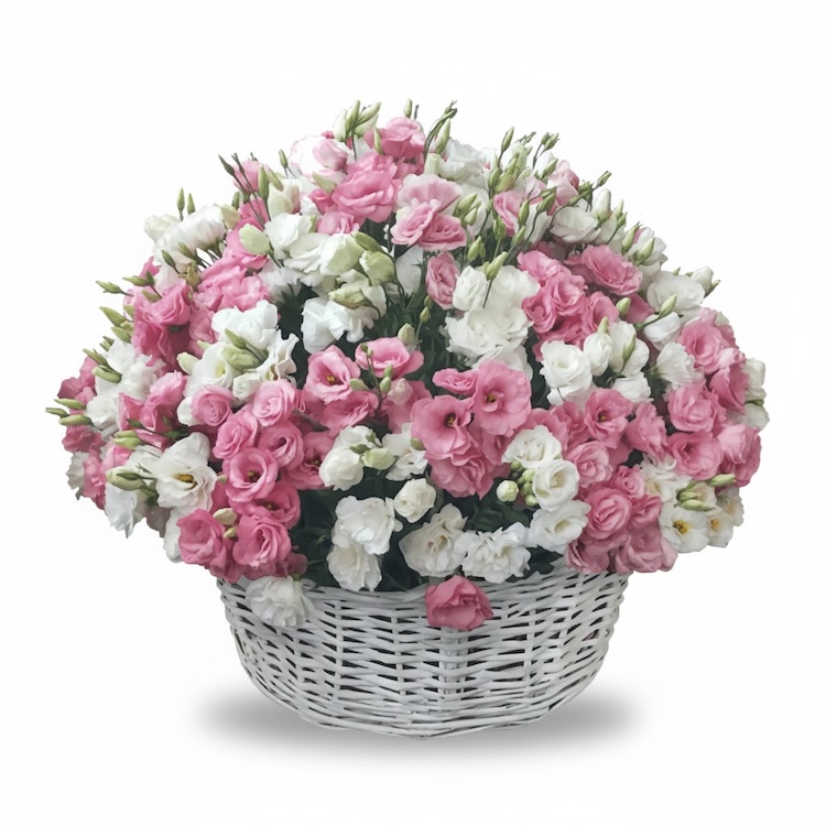 Большая корзина с розовыми и белыми лизиантусами - Flower Baskets