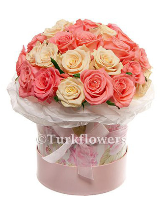 pink-and-creamy-roses