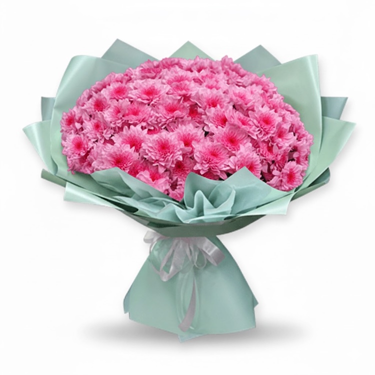 15-Stem Pink Chrysanthemum Bouquet - Bilecik