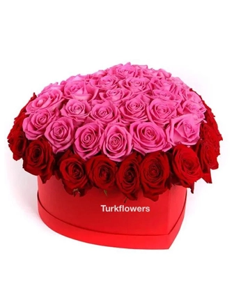 red-and-pink-hearth