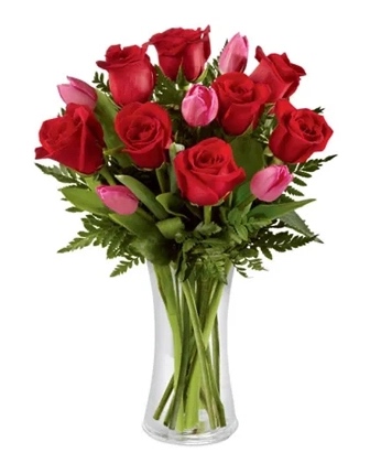 Red roses Pink Tulips - tulipanes - Ankara