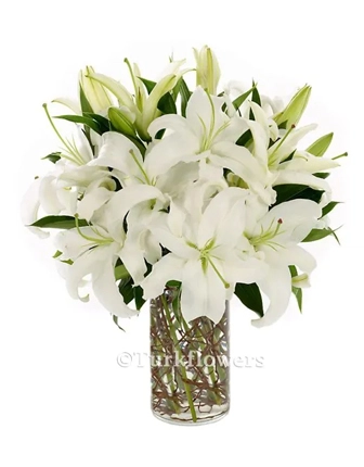 white-lily-in-vase-