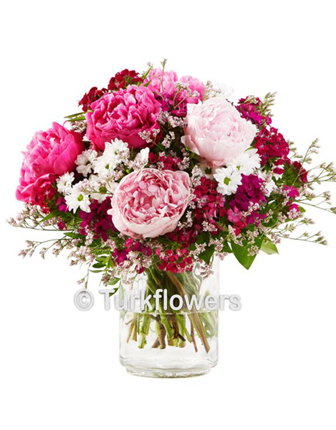 blossom-dream-