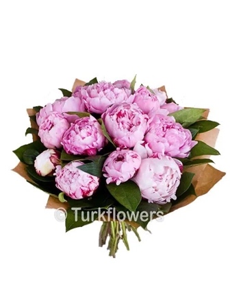 15 pivoines roses seulement à Istanbul - Peony
