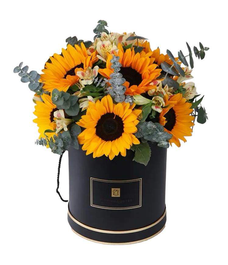 Sunflower in box - Sunflowers