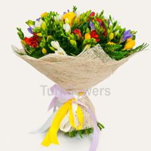 Colorful freesia bouquet - flores de primavera