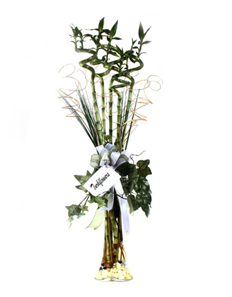 lucky-bamboo-5-stem