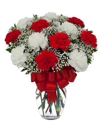 12 Red and White Carnations - Women's Day Flowers