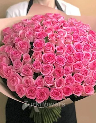 101-pink-roses