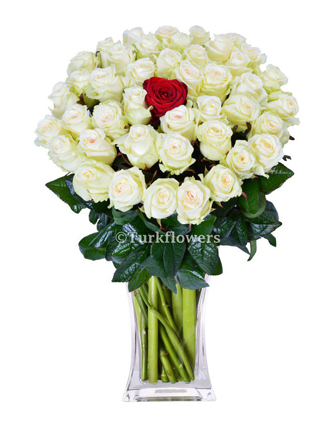 50-white-roses-+-1-red-roses-