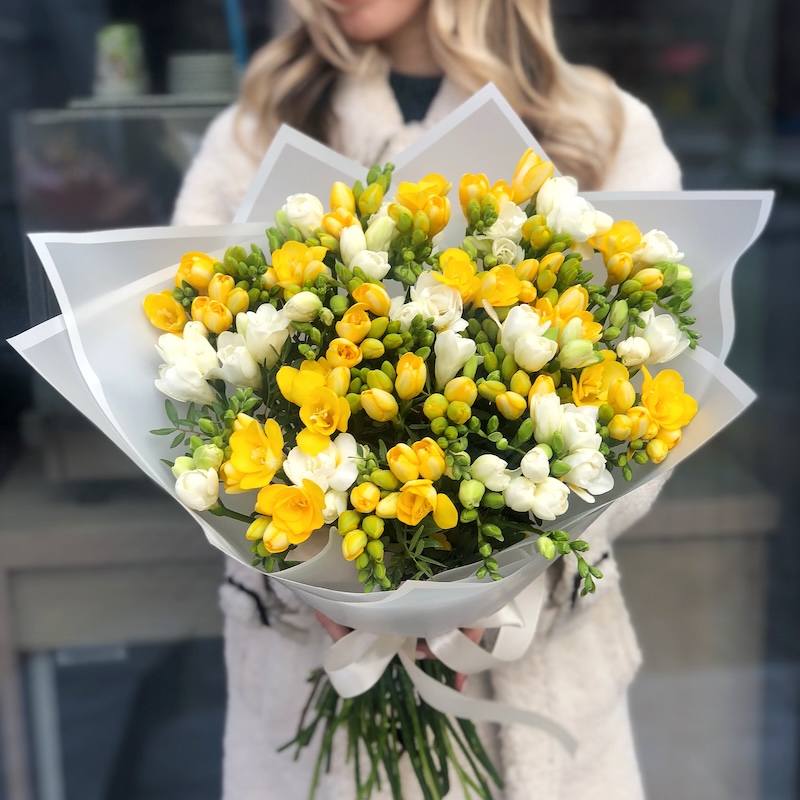 Yellow and White Freesia - flores de primavera